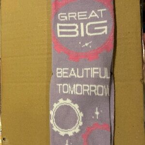 Disney Lavender and Pink Socks